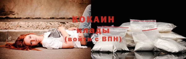 apvp Няндома
