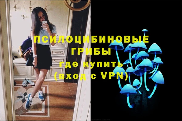 apvp Няндома