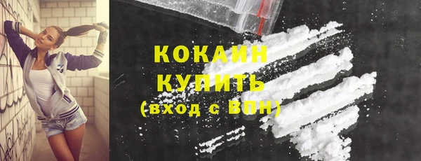 apvp Няндома
