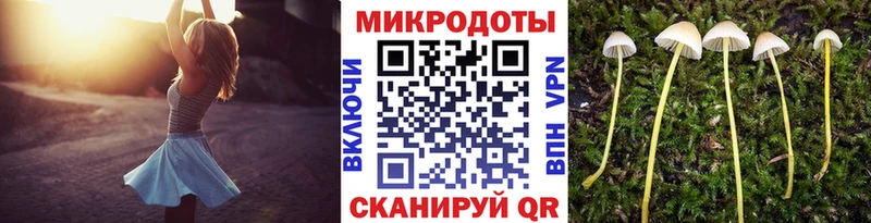Купить  Сольцы  Псилоцибиновые грибы ЛСД 